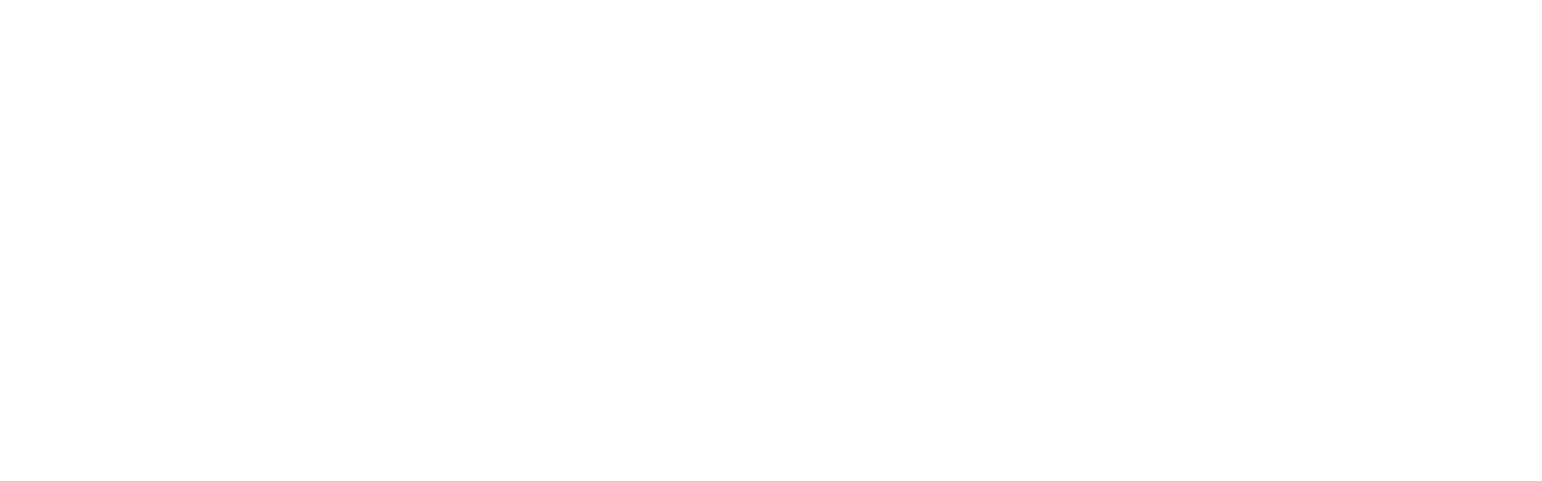 Brainstorm logo